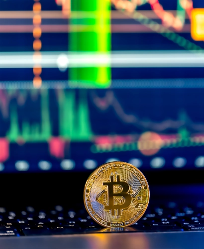 Haizintex Trading Informationen